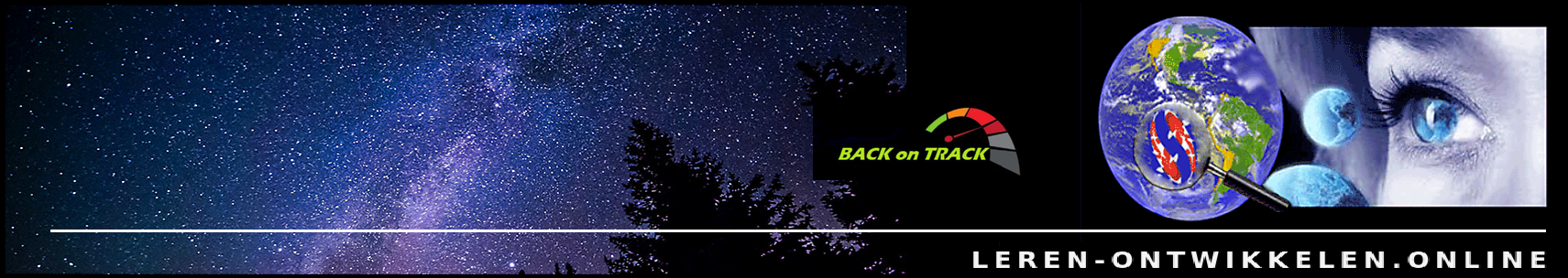 Back on Track — leren-ontwikkelen.online